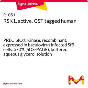 RSK1，有源，带 GST 标签 人 PRECISIO&#174; Kinase, recombinant, expressed in baculovirus infected Sf9 cells, &#8805;70% (SDS-PAGE), buffered aqueous glycerol solution