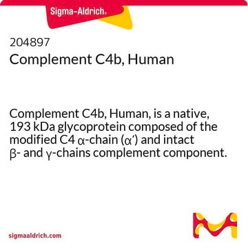 Komplement&nbsp;C4b, human Complement C4b, Human, is a native, 193 kDa glycoprotein composed of the modified C4 &#945;-chain (&#945;&#8242;) and intact &#946;- and &#947;-chains complement component.