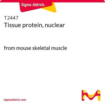 Tissue protein, nuclear from mouse skeletal muscle