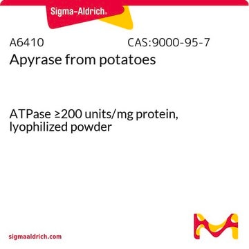 Apyrase aus Kartoffeln ATPase &#8805;200&#160;units/mg protein, lyophilized powder