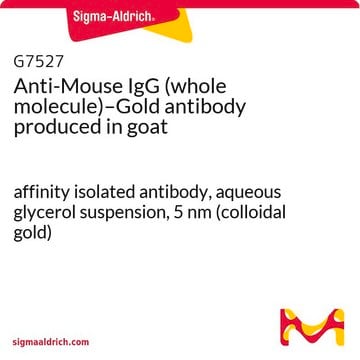 Anti-Mouse IgG (whole molecule)–Gold antibody produced in goat affinity isolated antibody, aqueous glycerol suspension, 5&#160;nm (colloidal gold)