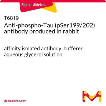 Anti-phospho-Tau (pSer199/202) antibody produced in rabbit affinity isolated antibody, buffered aqueous glycerol solution