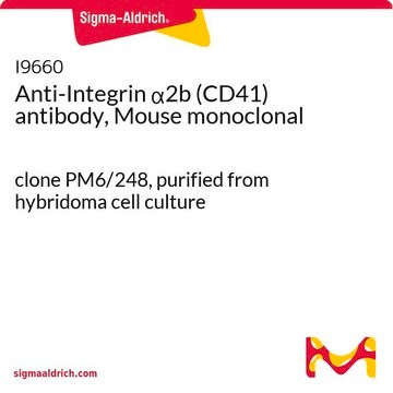 Anti-Integrin &#945;2b (CD41) antibody, Mouse monoclonal clone PM6/248, purified from hybridoma cell culture