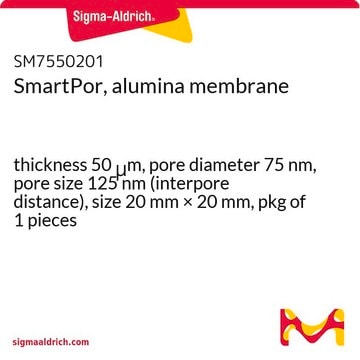 SmartPor, alumina membrane thickness 50&#160;&#956;m, pore diameter 75&#160;nm, pore size 125&#160;nm (interpore distance), size 20&#160;mm × 20&#160;mm, pkg of 1&#160;pieces