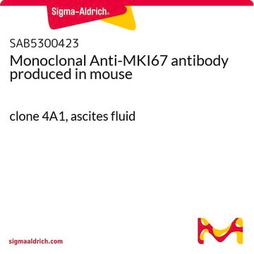 Monoclonal Anti-MKI67 antibody produced in mouse clone 4A1, ascites fluid