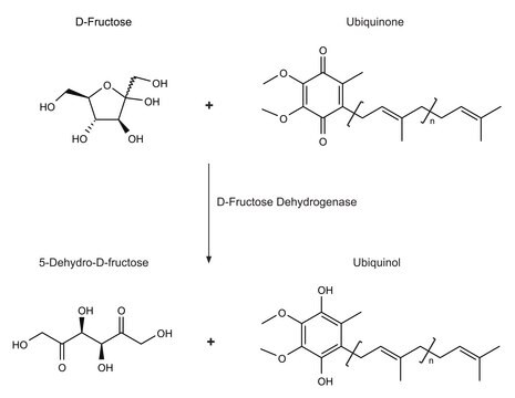 D-Fructose Dehydrogenase from Gluconobacter industrius lyophilized powder, 400-1,200&#160;units/mg protein