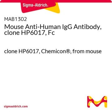 Anticorps de souris anti-IgG humaine (fragment&nbsp;Fc), clone&nbsp;HP6017 clone HP6017, Chemicon&#174;, from mouse