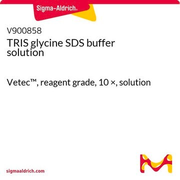 TRIS 甘氨酸 SDS 缓冲剂 溶液 Vetec&#8482;, reagent grade, 10&#160;×, solution