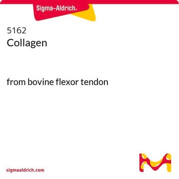 Collagen from bovine flexor tendon