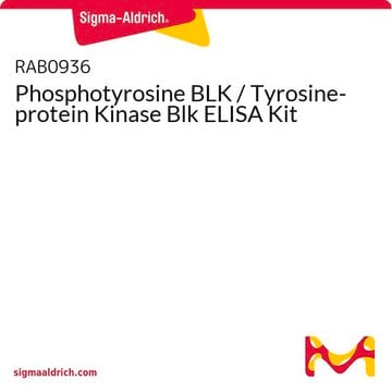 Phosphotyrosine BLK / Tyrosine-protein Kinase Blk ELISA Kit