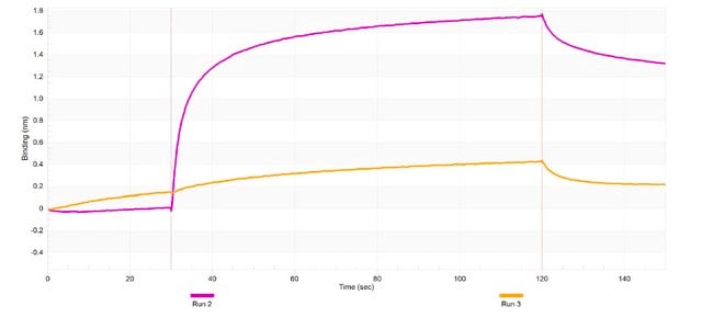 Anti-IL-12A Antibody, clone 1G10 ZooMAb&#174; Rabbit Monoclonal recombinant, expressed in HEK 293 cells