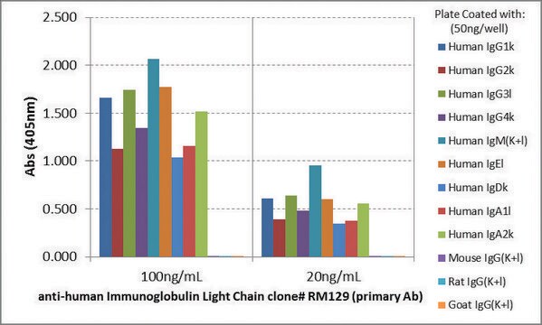 Anti-Human Ig Light Chains-Biotin antibody, Rabbit monoclonal recombinant, expressed in HEK 293 cells, clone RM129, purified immunoglobulin