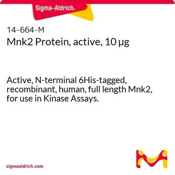 Mnk2 Protein, active, 10 &#181;g Active, N-terminal 6His-tagged, recombinant, human, full length Mnk2, for use in Kinase Assays.