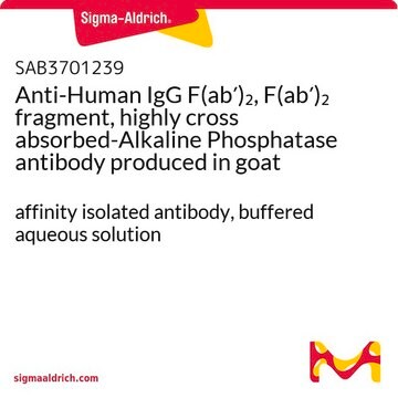 Anti-Human IgG F(ab&#8242;)2, F(ab&#8242;)2 fragment, highly cross absorbed-Alkaline Phosphatase antibody produced in goat affinity isolated antibody, buffered aqueous solution