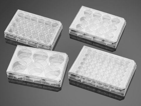 Corning&#174; Falcon&#174; Cell Culture Plate wells, 48, Tissue Culture (TC)-treated surface, flat bottom clear wells, sterile