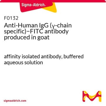 Anti-Human IgG (&#947;-chain specific)&#8722;FITC antibody produced in goat affinity isolated antibody, buffered aqueous solution