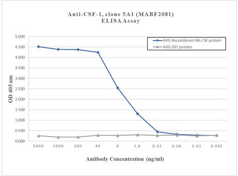 Anti-CSF-1 Antibody, clone 5A1