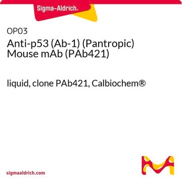 Anti-p53 (Ab-1) (Pantropic) Mouse mAb (PAb421) liquid, clone PAb421, Calbiochem&#174;