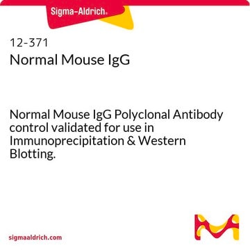 IgG de camundongo normal Normal Mouse IgG Polyclonal Antibody control validated for use in Immunoprecipitation &amp; Western Blotting.