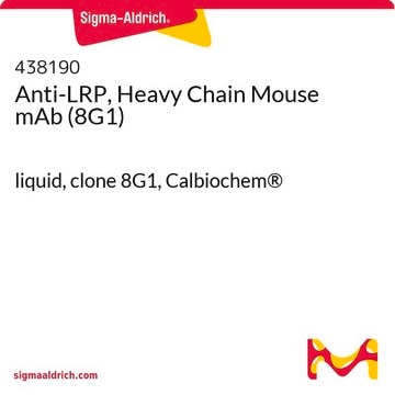 Anti-LRP, Heavy Chain Mouse mAb (8G1) liquid, clone 8G1, Calbiochem&#174;