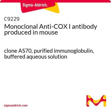 Monoclonal Anti-COX I antibody produced in mouse clone AS70, purified immunoglobulin, buffered aqueous solution