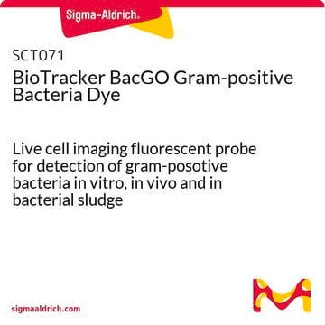 Colorante para bacterias grampositivas. BioTracker BacGO Live cell imaging fluorescent probe for detection of gram-posotive bacteria in vitro, in vivo and in bacterial sludge