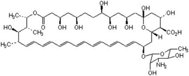 Amphotericin B, Streptomyces sp. A polyene antifungal antibiotic that non-specifically induces loss of low molecular weight substances from cells. Binds to sterols and disrupts osmotic integrity of fungal membrane. Causes suppression of bone marrow progenitor cells.