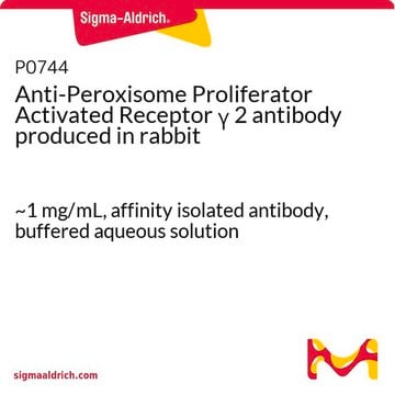 Anti-Peroxisome Proliferator Activated Receptor &#947; 2 antibody produced in rabbit ~1&#160;mg/mL, affinity isolated antibody, buffered aqueous solution