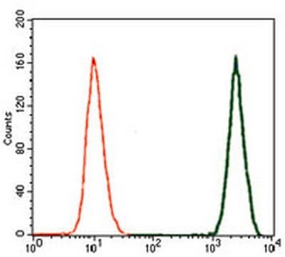 Anti-DCX Antibody, clone 2G5 clone 2G5, from mouse