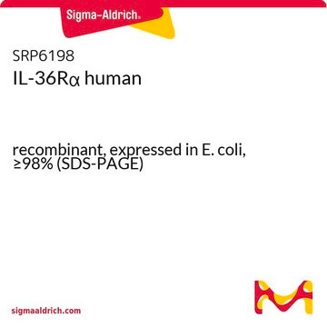 IL-36R&#945; human recombinant, expressed in E. coli, &#8805;98% (SDS-PAGE)