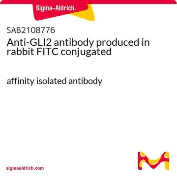 Anti-GLI2 antibody produced in rabbit FITC conjugated affinity isolated antibody