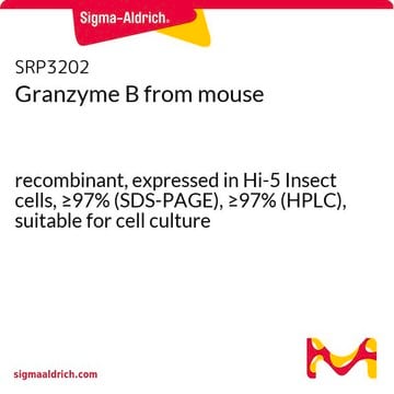 Granzyme B from mouse recombinant, expressed in Hi-5 Insect cells, &#8805;97% (SDS-PAGE), &#8805;97% (HPLC), suitable for cell culture