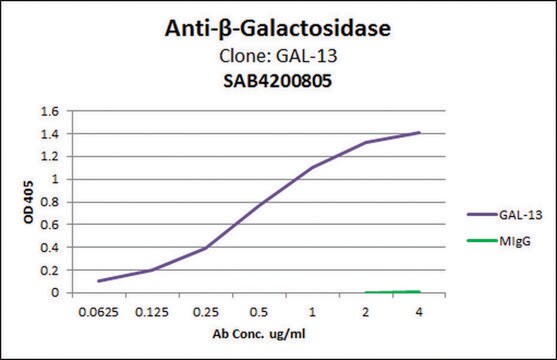 Przeciwciało anty-β-galaktozydazowe, mysie monoklonalne clone GAL-13, purified from hybridoma cell culture