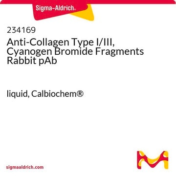 Anti-Collagen Type I/III, Cyanogen Bromide Fragments Rabbit pAb liquid, Calbiochem&#174;