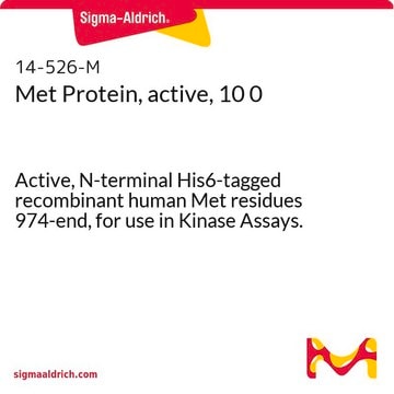 Met-Protein, aktiv, 10 Active, N-terminal His6-tagged recombinant human Met residues 974-end, for use in Kinase Assays.