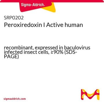 Peroxiredoxin I Active human recombinant, expressed in baculovirus infected insect cells, &#8805;90% (SDS-PAGE)