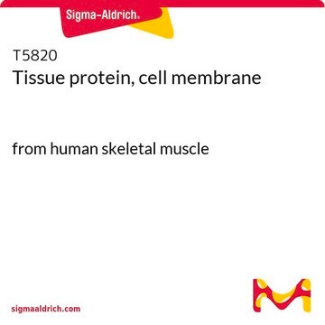 Tissue protein, cell membrane from human skeletal muscle