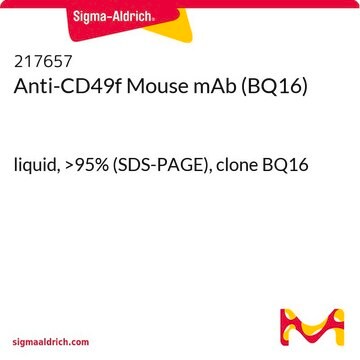 Anti-CD49f Mouse mAb (BQ16) liquid, &gt;95% (SDS-PAGE), clone BQ16