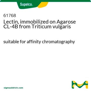 Lectin, immobilized on Agarose CL-4B from Triticum vulgaris suitable for affinity chromatography