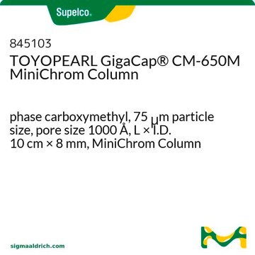 TOYOPEARL GigaCap&#174; CM-650M MiniChrom Column phase carboxymethyl, 75&#160;&#956;m particle size, pore size 1000&#160;Å, L × I.D. 10&#160;cm × 8&#160;mm, MiniChrom Column