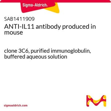 ANTI-IL11 antibody produced in mouse clone 3C6, purified immunoglobulin, buffered aqueous solution