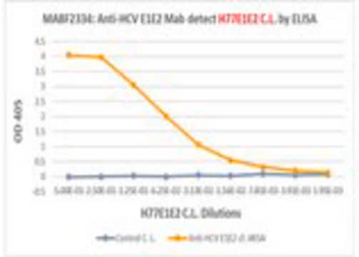 Anti-HCV E1E2 Antibody, clone AR5A clone AR5A