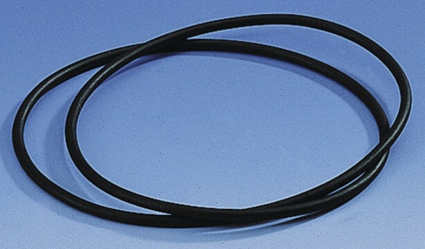 BRAND&#174; dessicator sealing ring for nominal size 200 mm