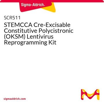 STEMCCA Cre-Excisable Constitutive Polycistronic (OKSM) Lentivirus Reprogramming Kit