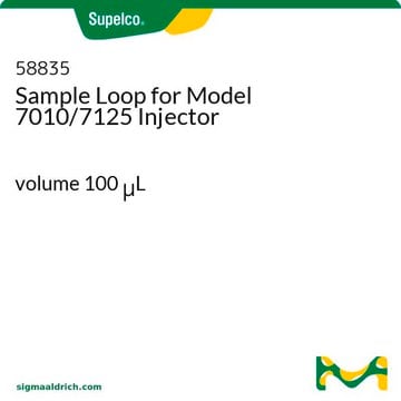 Sample Loop for Model 7010/7125 Injector volume 100&#160;&#956;L