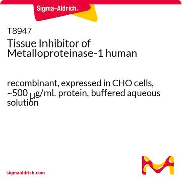 Tissue Inhibitor of Metalloproteinase-1 human recombinant, expressed in CHO cells, ~500&#160;&#956;g/mL protein, buffered aqueous solution