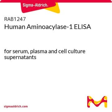 Human Aminoacylase-1 ELISA for serum, plasma and cell culture supernatants