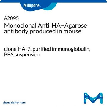 Monoclonal Anti-HA&#8722;Agarose antibody produced in mouse clone HA-7, purified immunoglobulin, PBS suspension