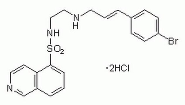 H-89, Dihydrochloride InSolution 10 mM, &#8805;99%, reversible ATP-competitive inhibitor of protein kinase A