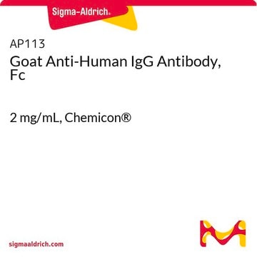 Anti-Human-IgG-Antikörper der Ziege, Fc 2&#160;mg/mL, Chemicon&#174;